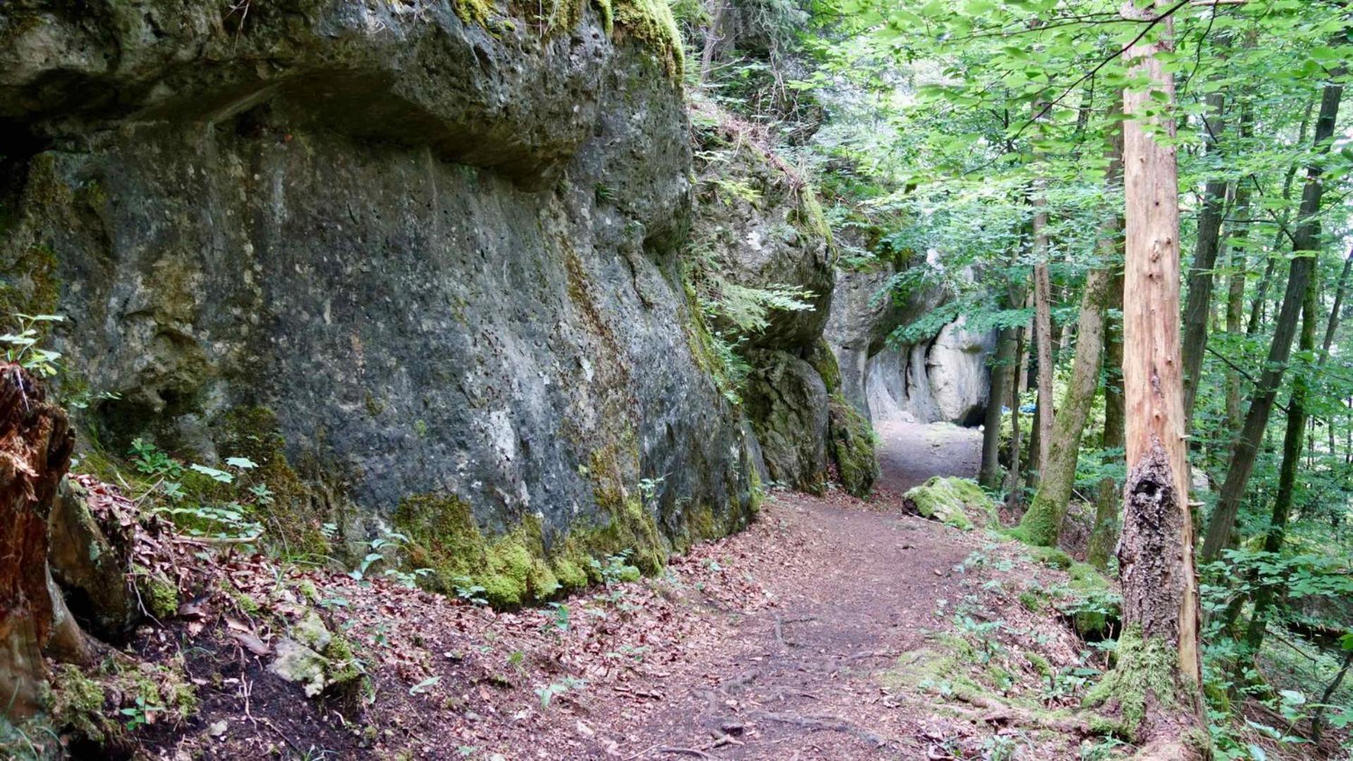 Ferienwohnung Am Walberla / Fraenkische Schweiz Kirchehrenbach المظهر الخارجي الصورة